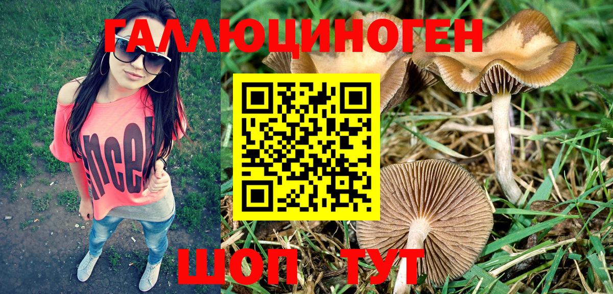 Соль-Илецк  Псилоцибиновые грибы MAGIC MUSHROOMS  Вход с VPN 